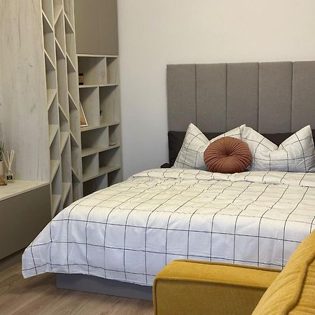 Carpathian Studio Braşov Extérieur photo